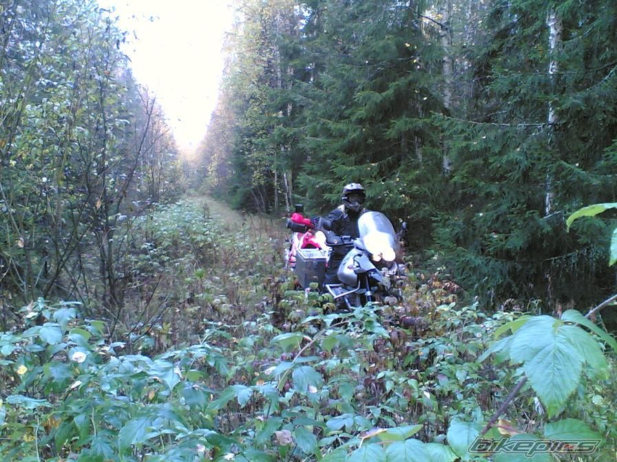 Photo 785714