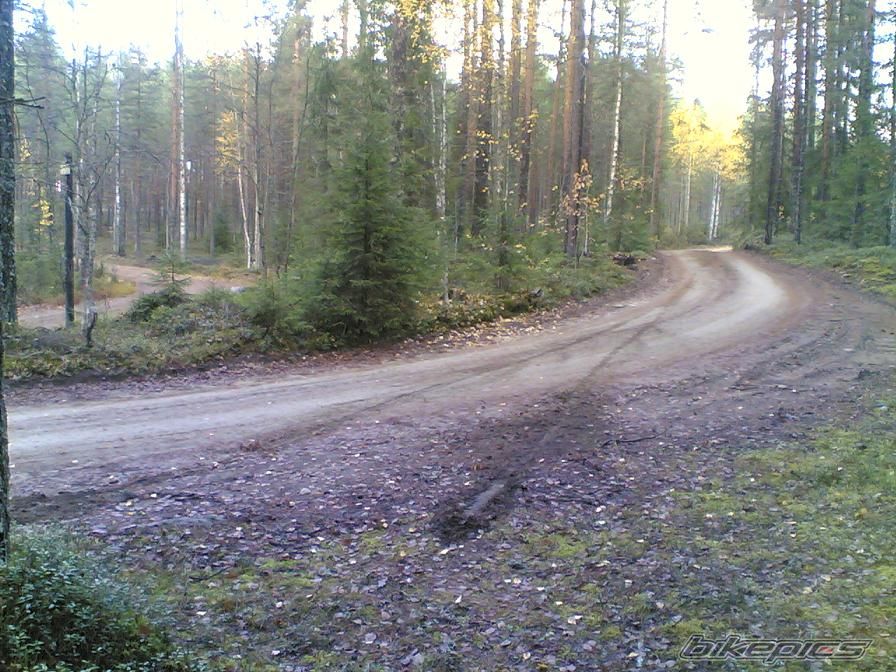 Photo 785727
