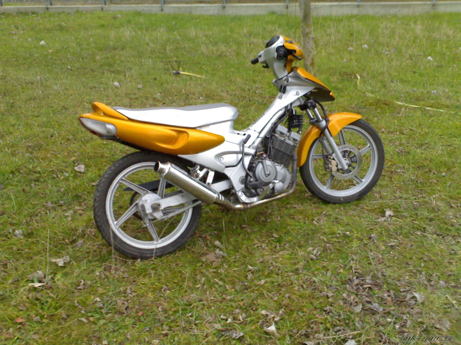 Bike Photo 785743