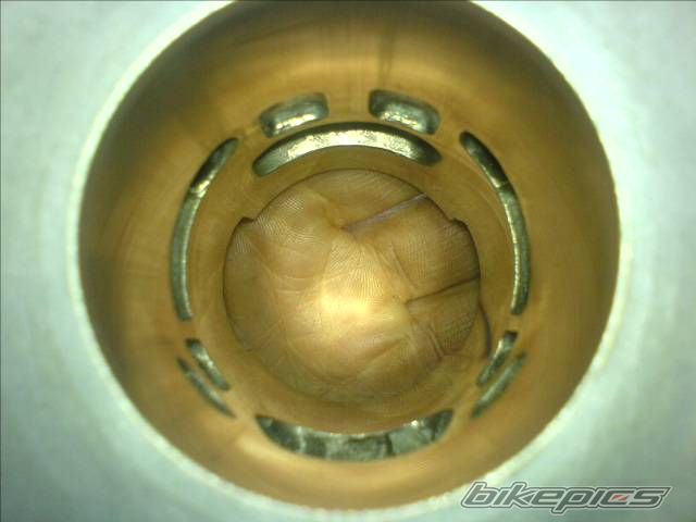 Photo 785788