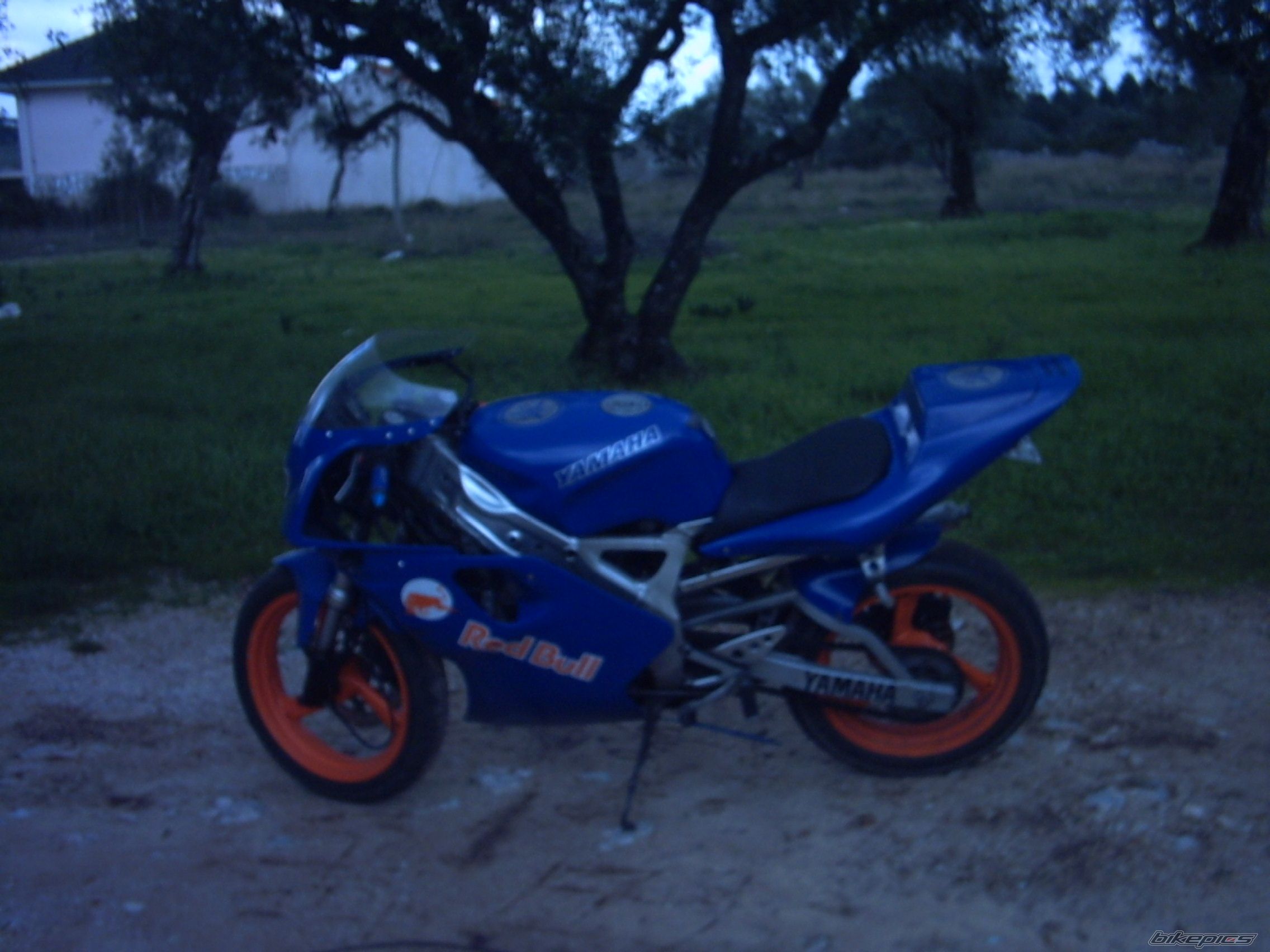 Photo 785862