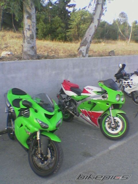 Photo 785893