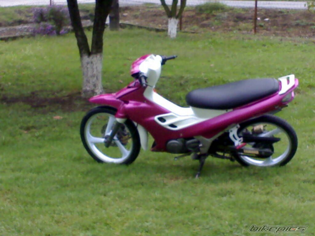 Photo 786065