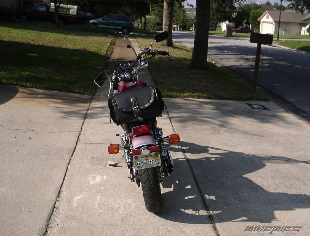 Photo 7861