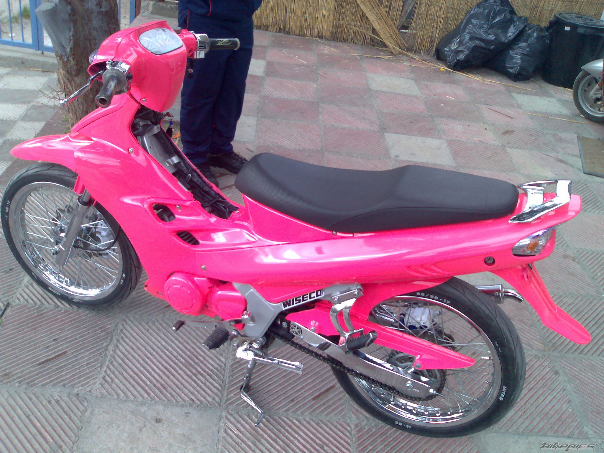 Photo 786268