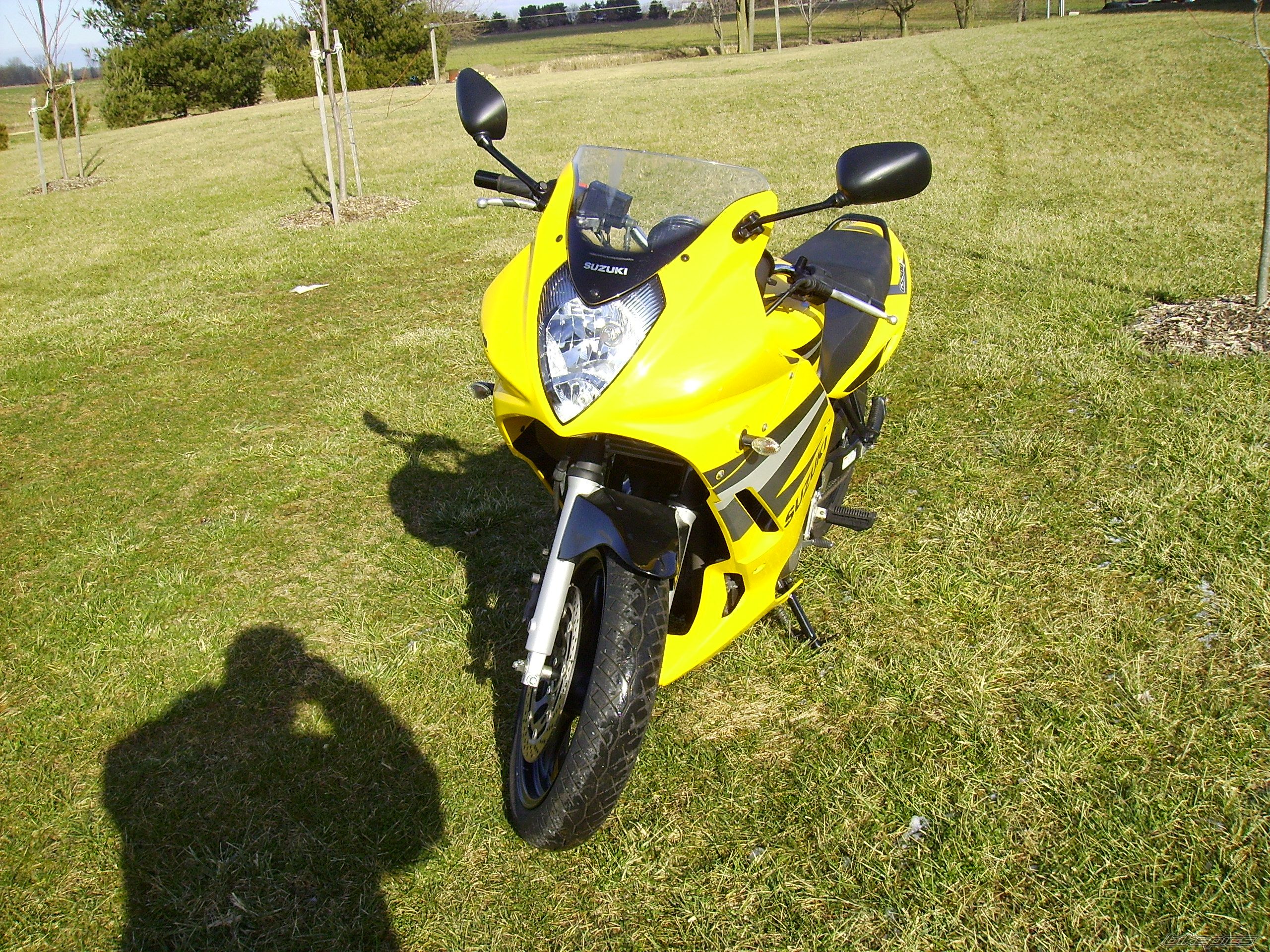 Photo 786288
