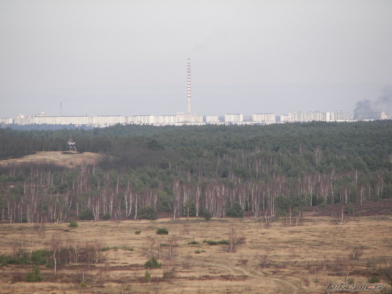 Photo 786399