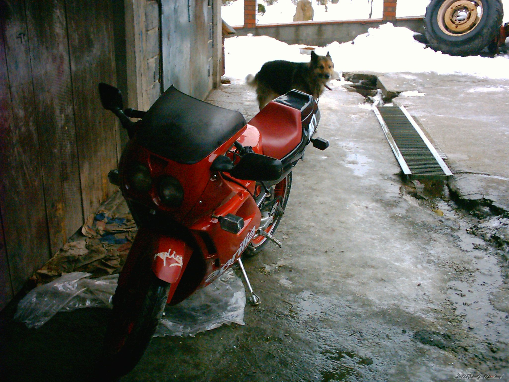 Photo 786436