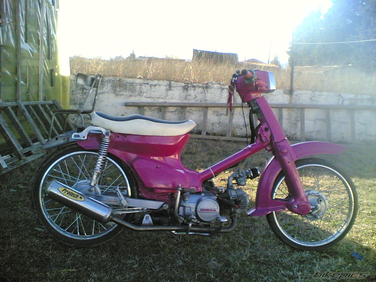 Photo 786527