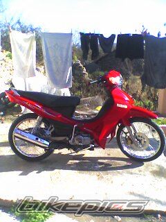 Bike Photo 786565