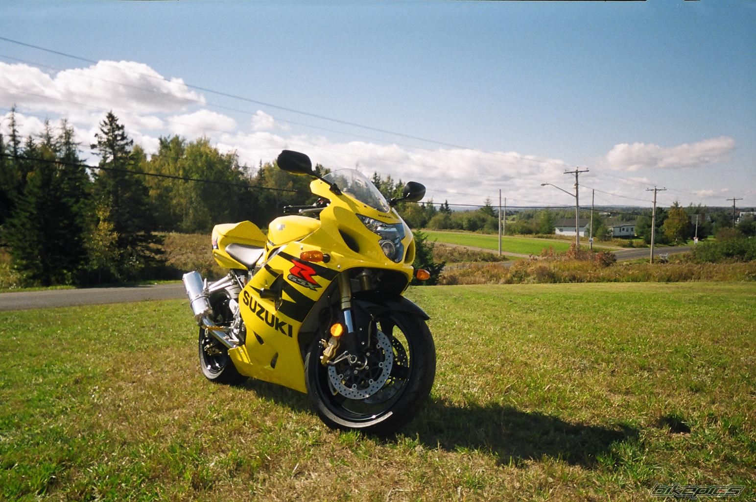Photo 786623
