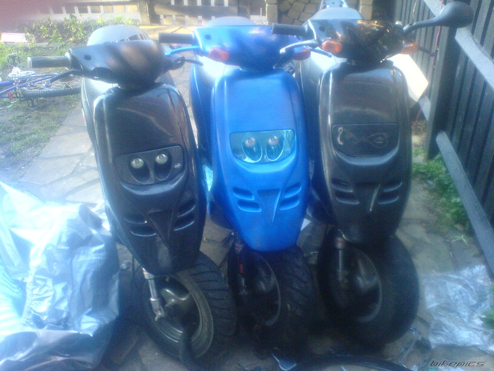 Photo 786662
