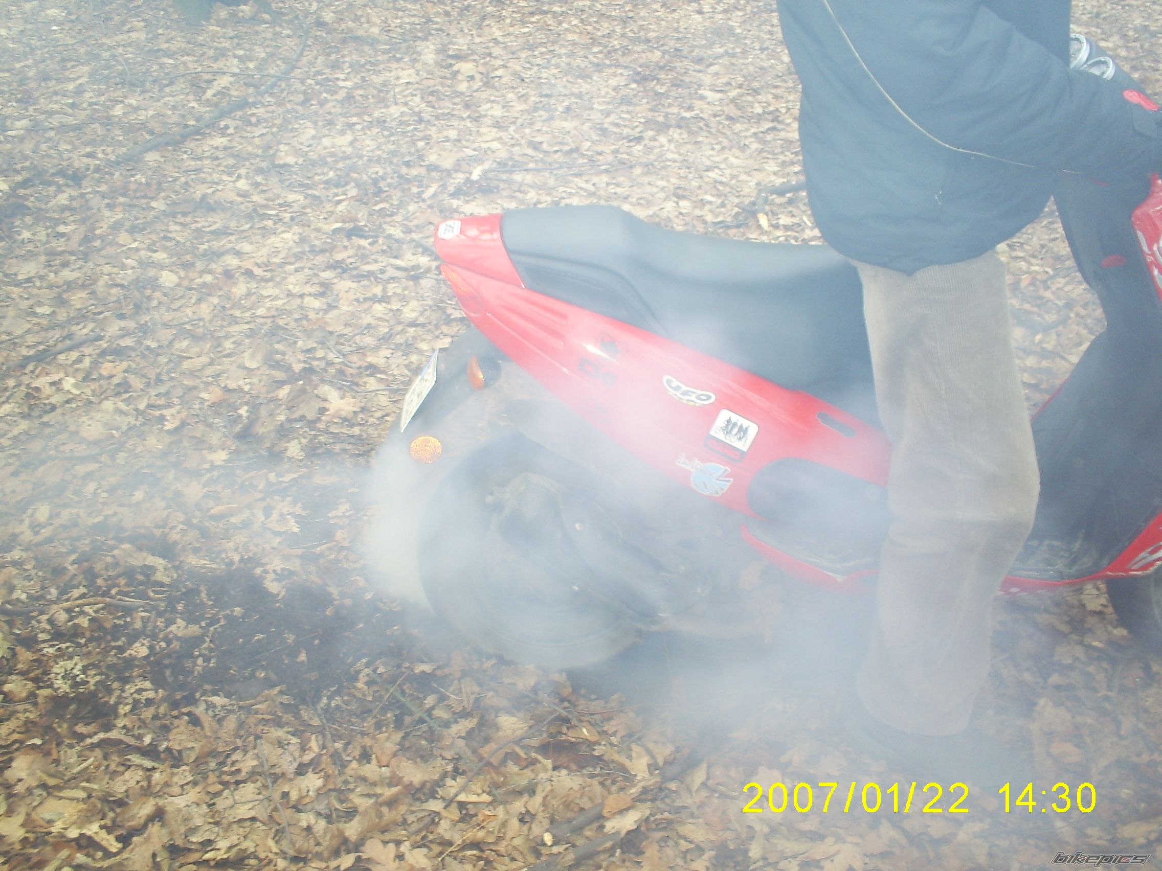 Photo 786666