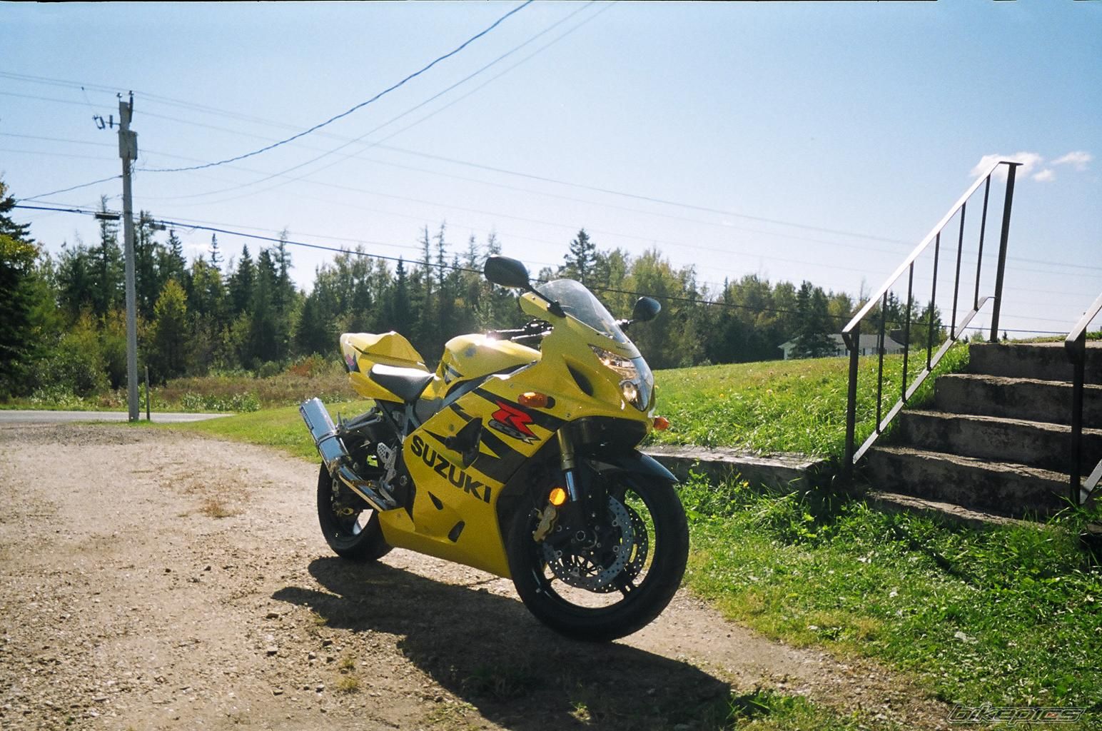 Photo 786669