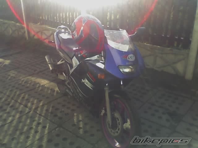 Photo 786676