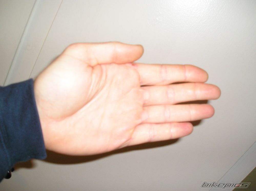 Photo 786686