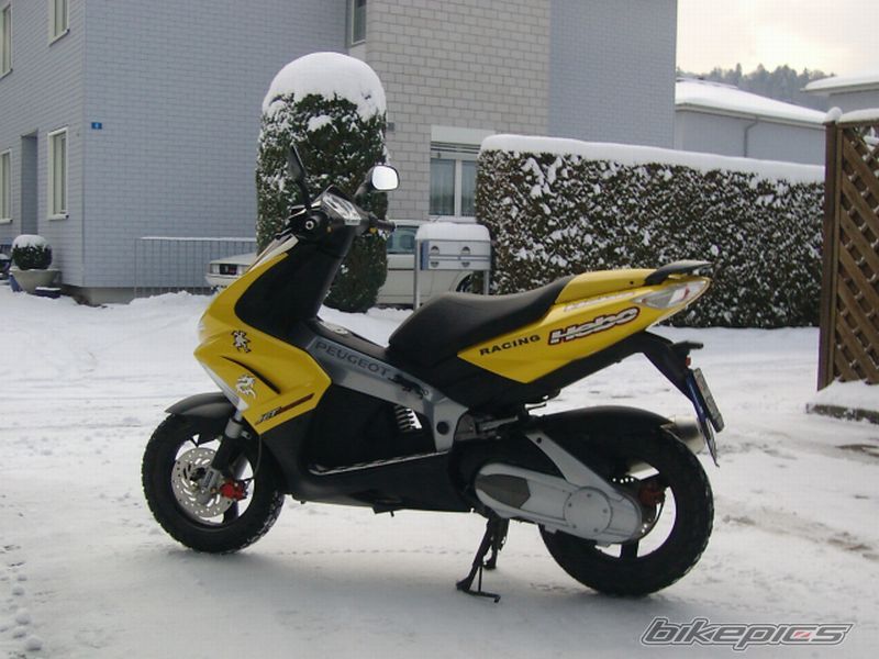 Photo 786693