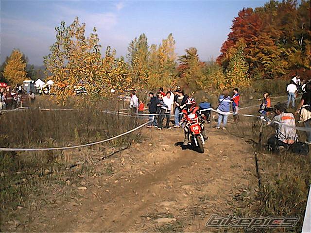 Photo 78686