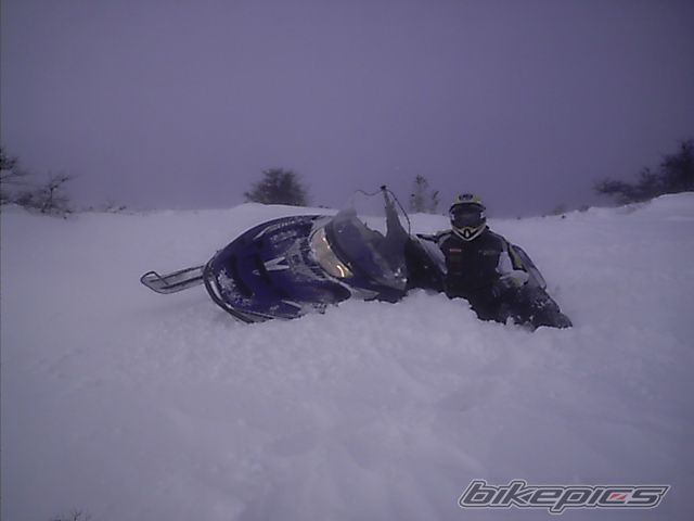 Photo 786882