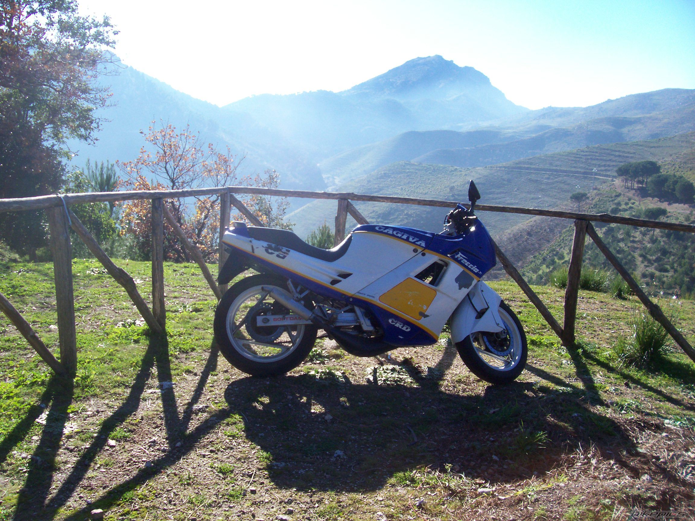 Photo 786898