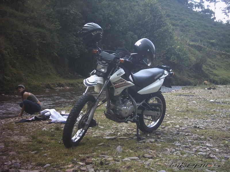 Photo 786929