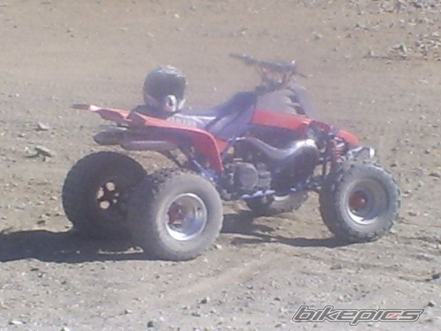 Photo 786956