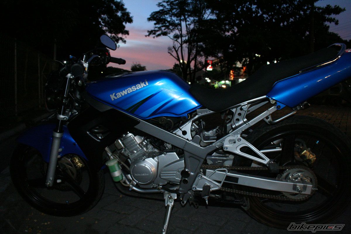 Photo 786966