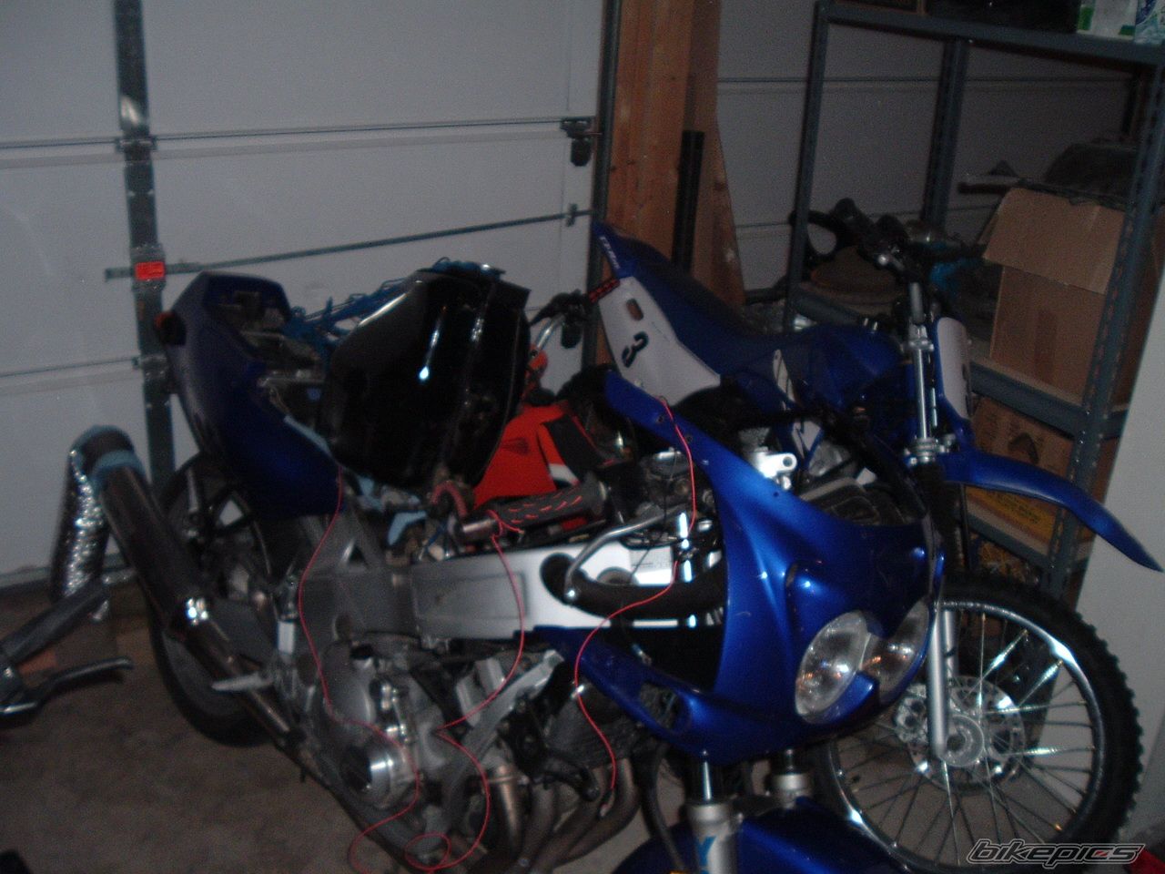 Photo 786976