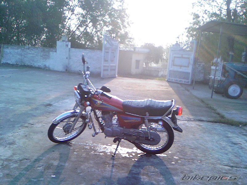 Photo 786981