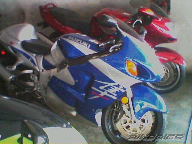 Photo 786988