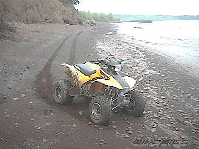 Photo 78703