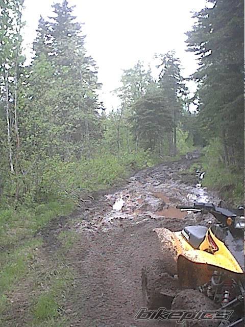 Photo 78704