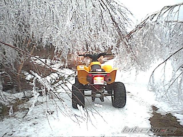 Photo 78708
