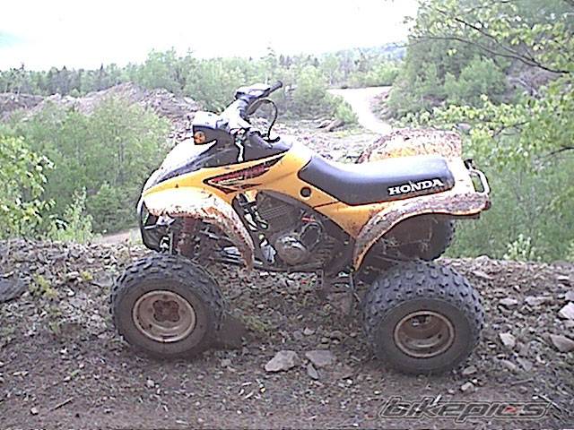 Photo 78711