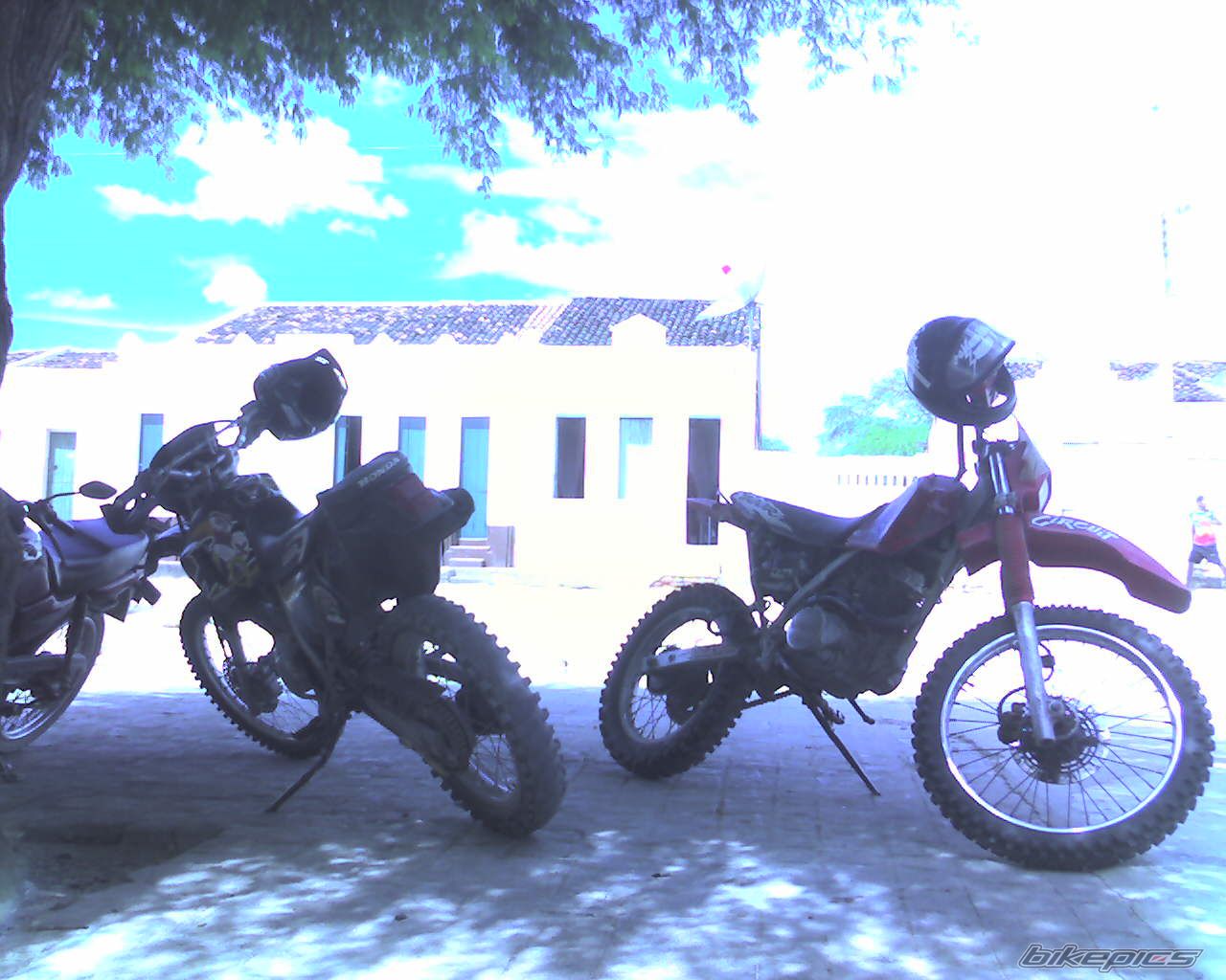 Photo 787130