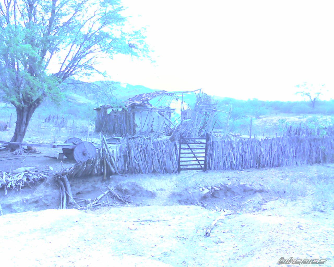 Bike Photo 787141