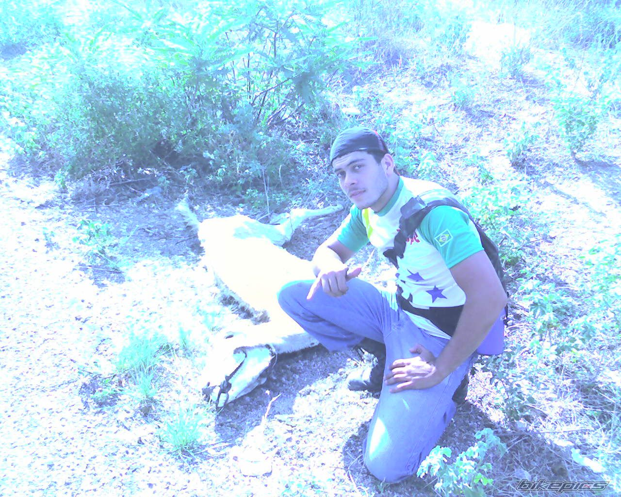 Photo 787145