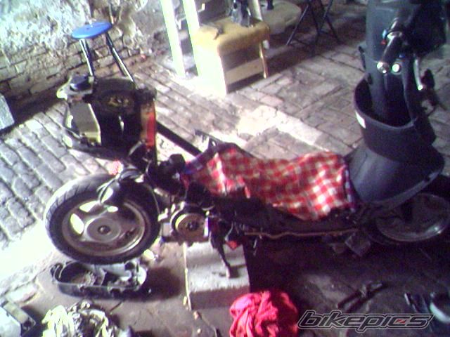 Photo 787161
