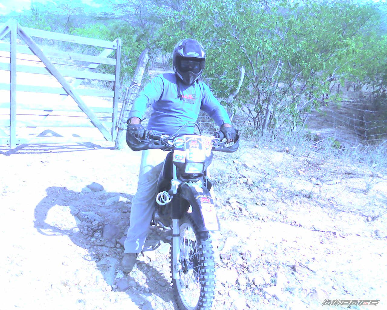 Photo 787164