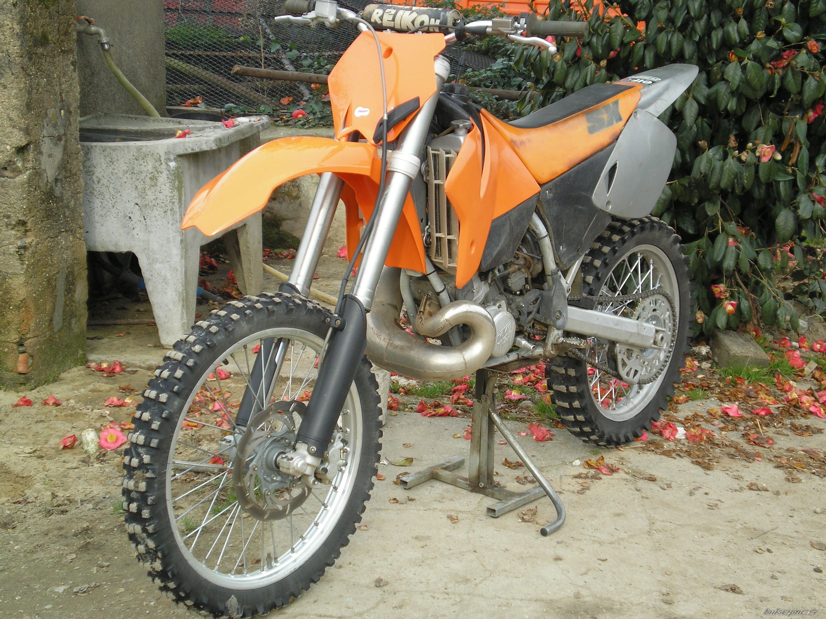 Photo 787193