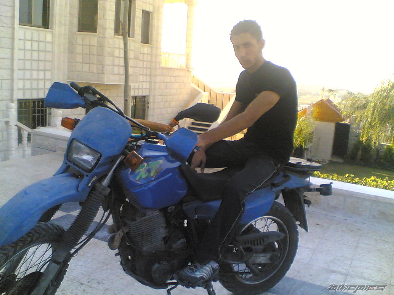Photo 787345