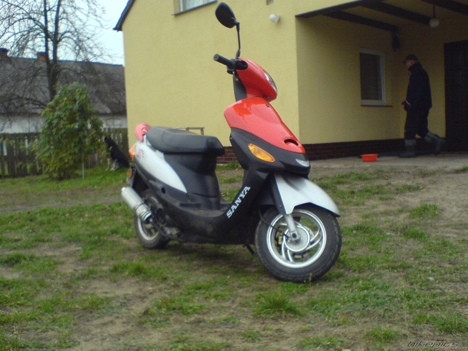Photo 787375