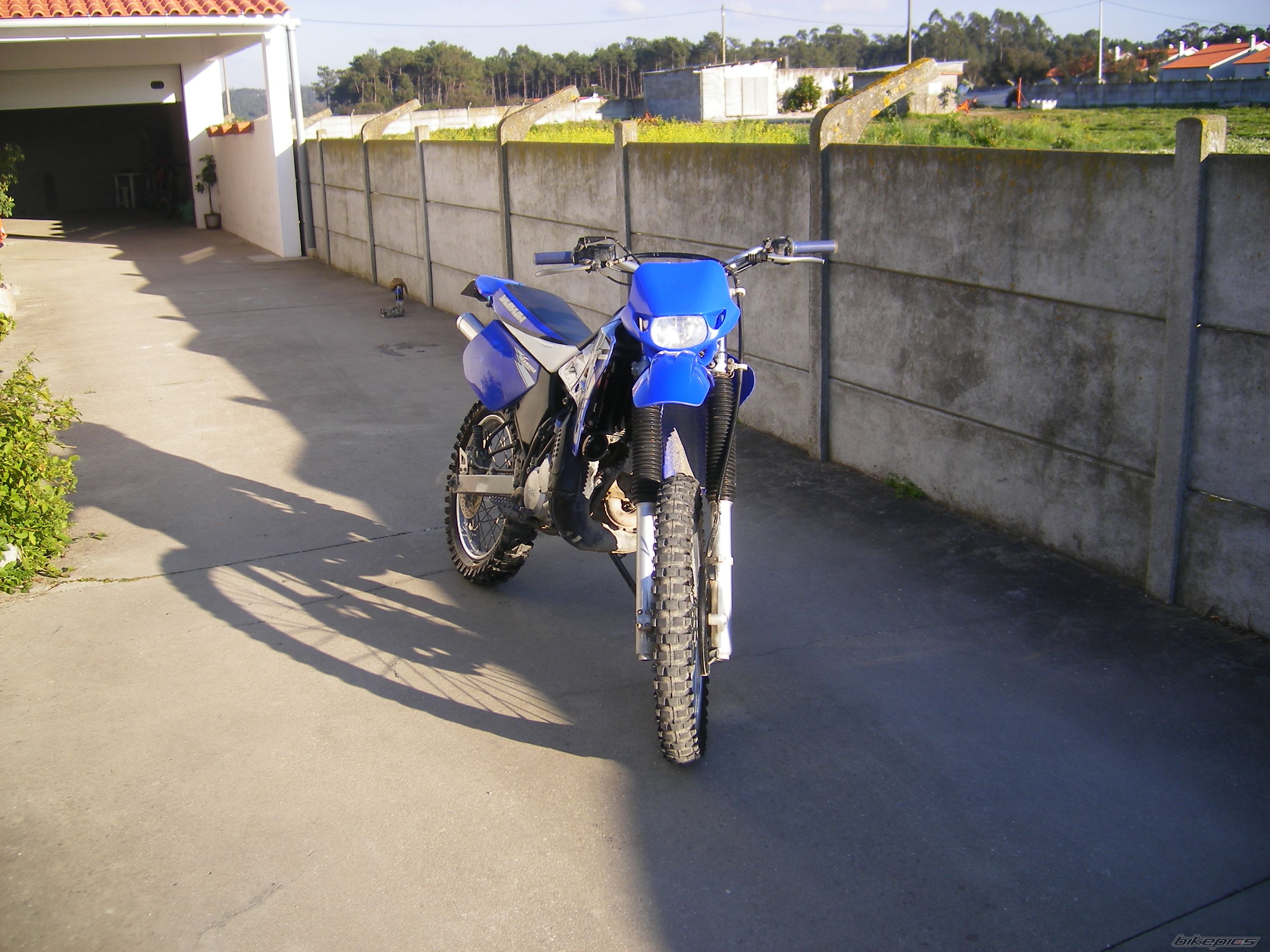 Photo 787400
