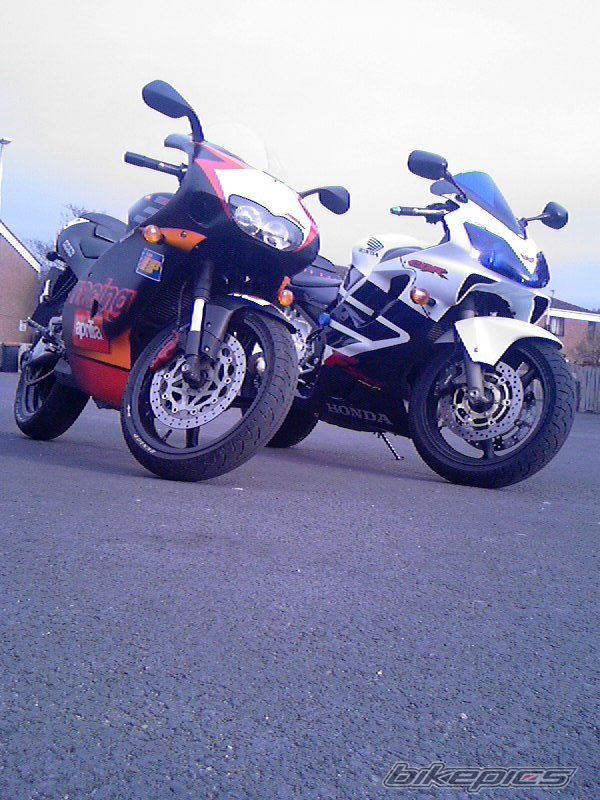 Photo 787483