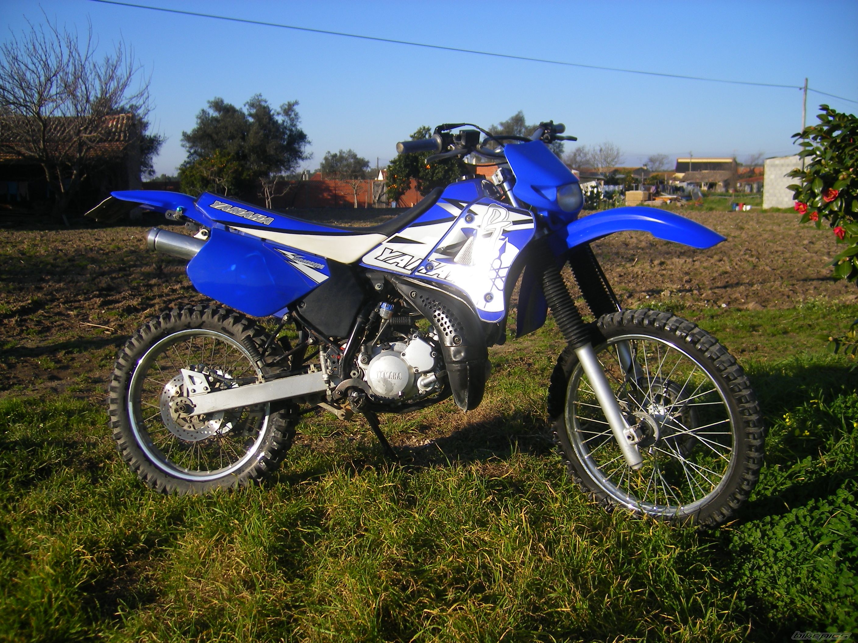 Photo 787586