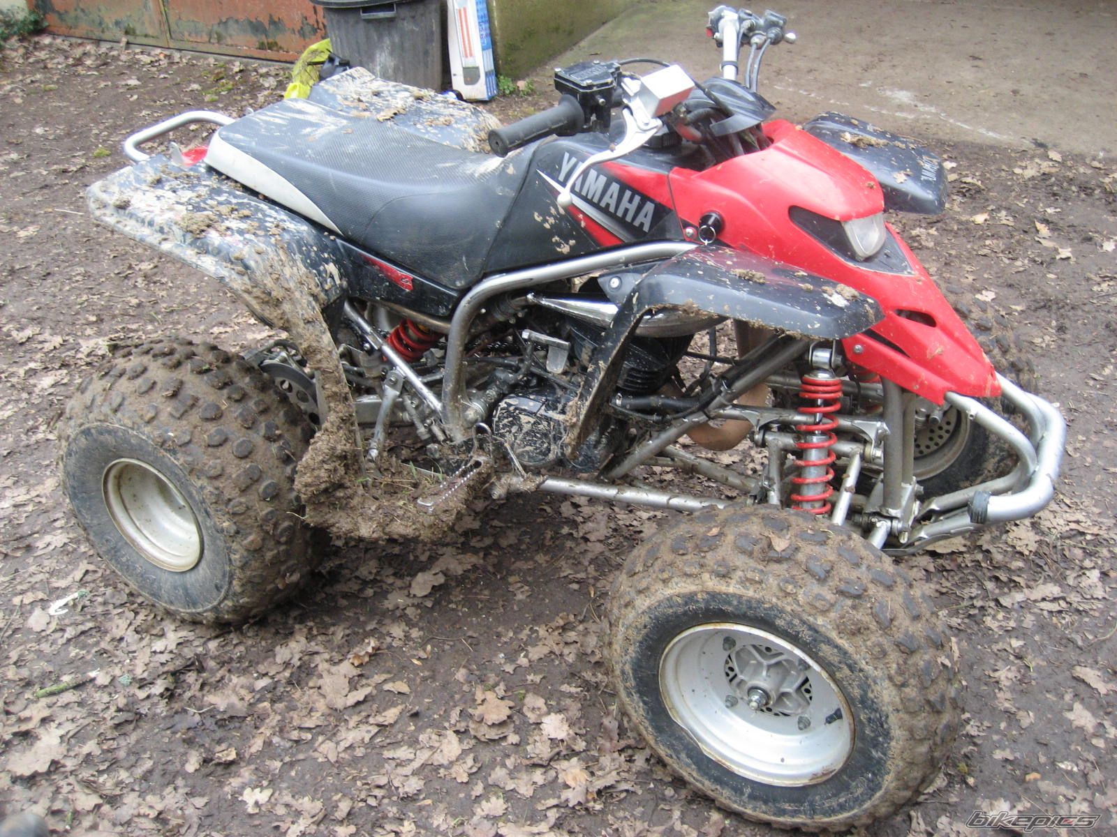 Photo 787642