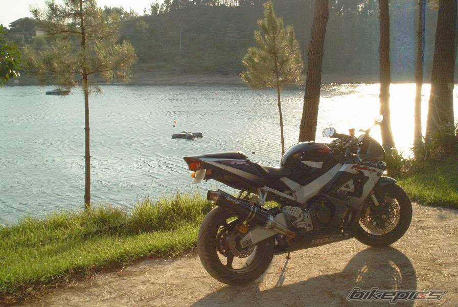 Photo 78767
