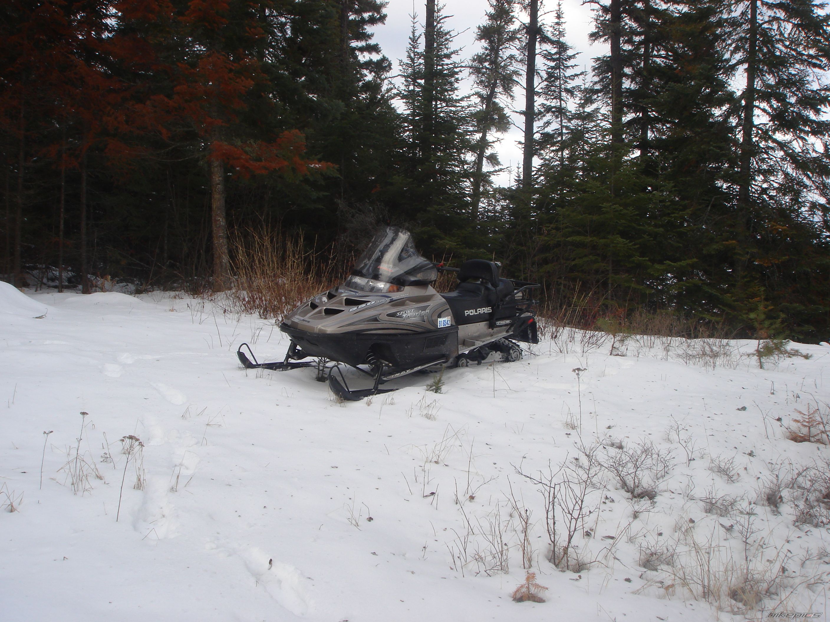 Photo 787879
