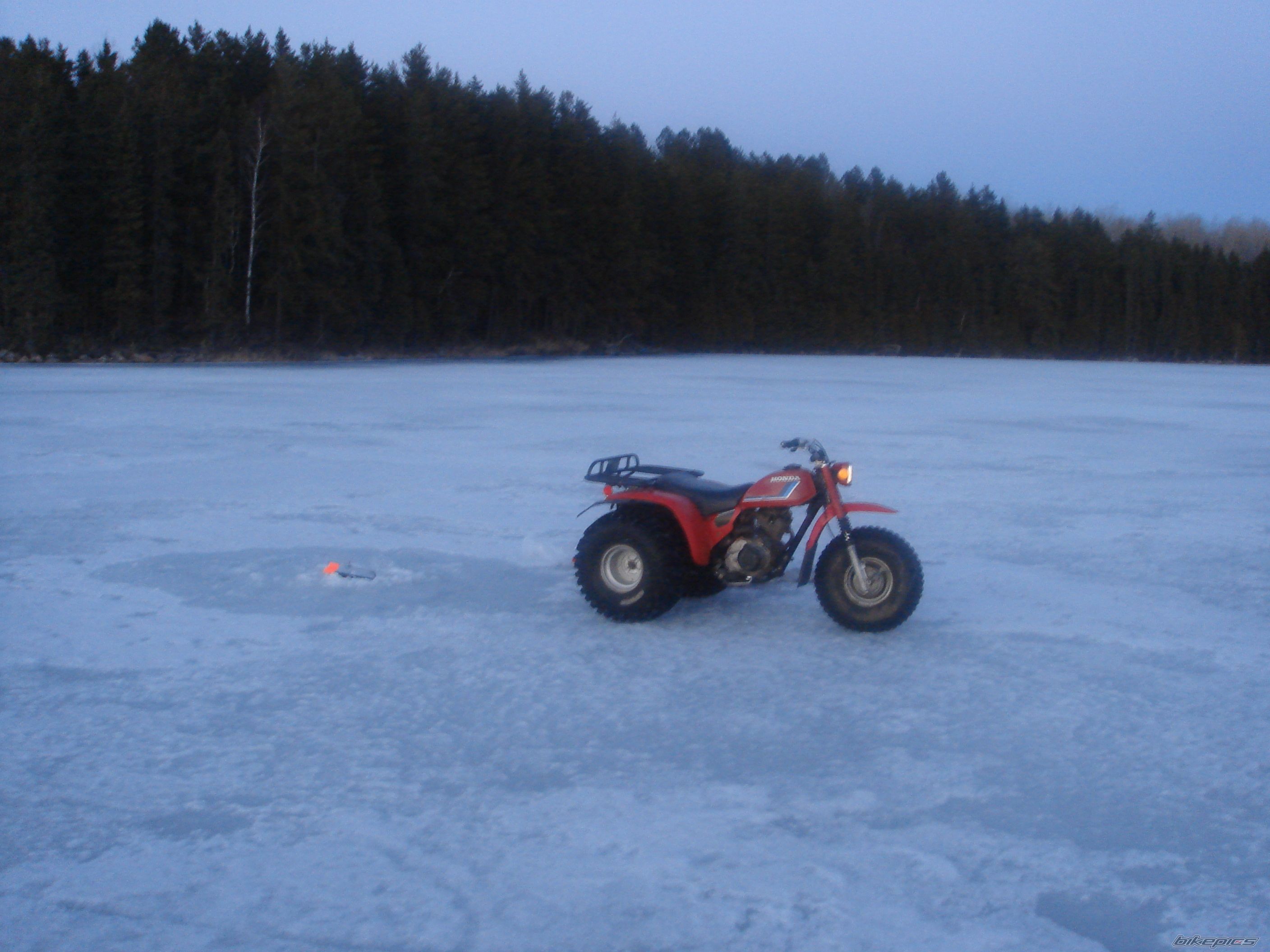 Photo 787892