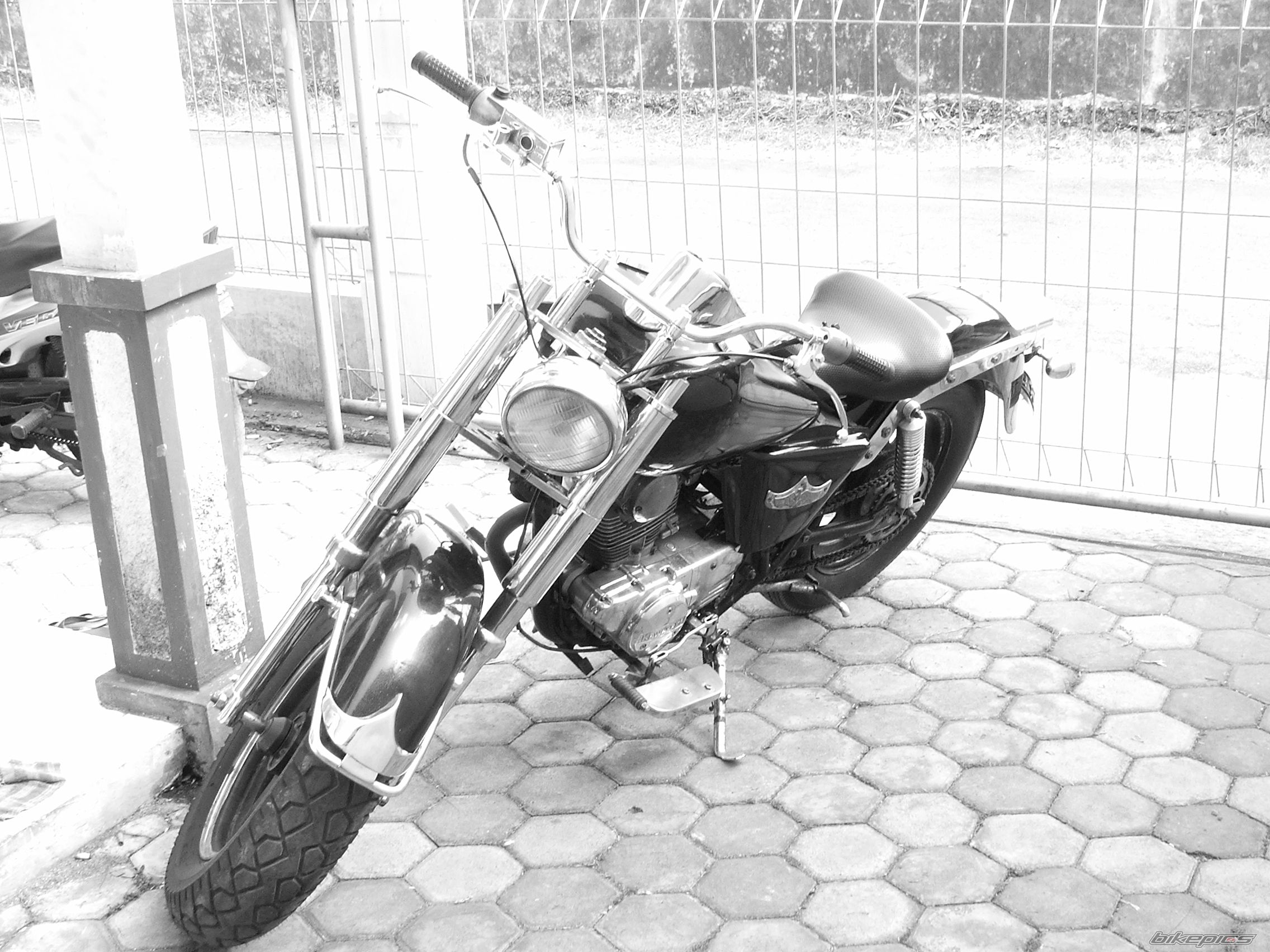Photo 787926
